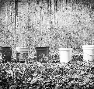 buckets_edited.jpg