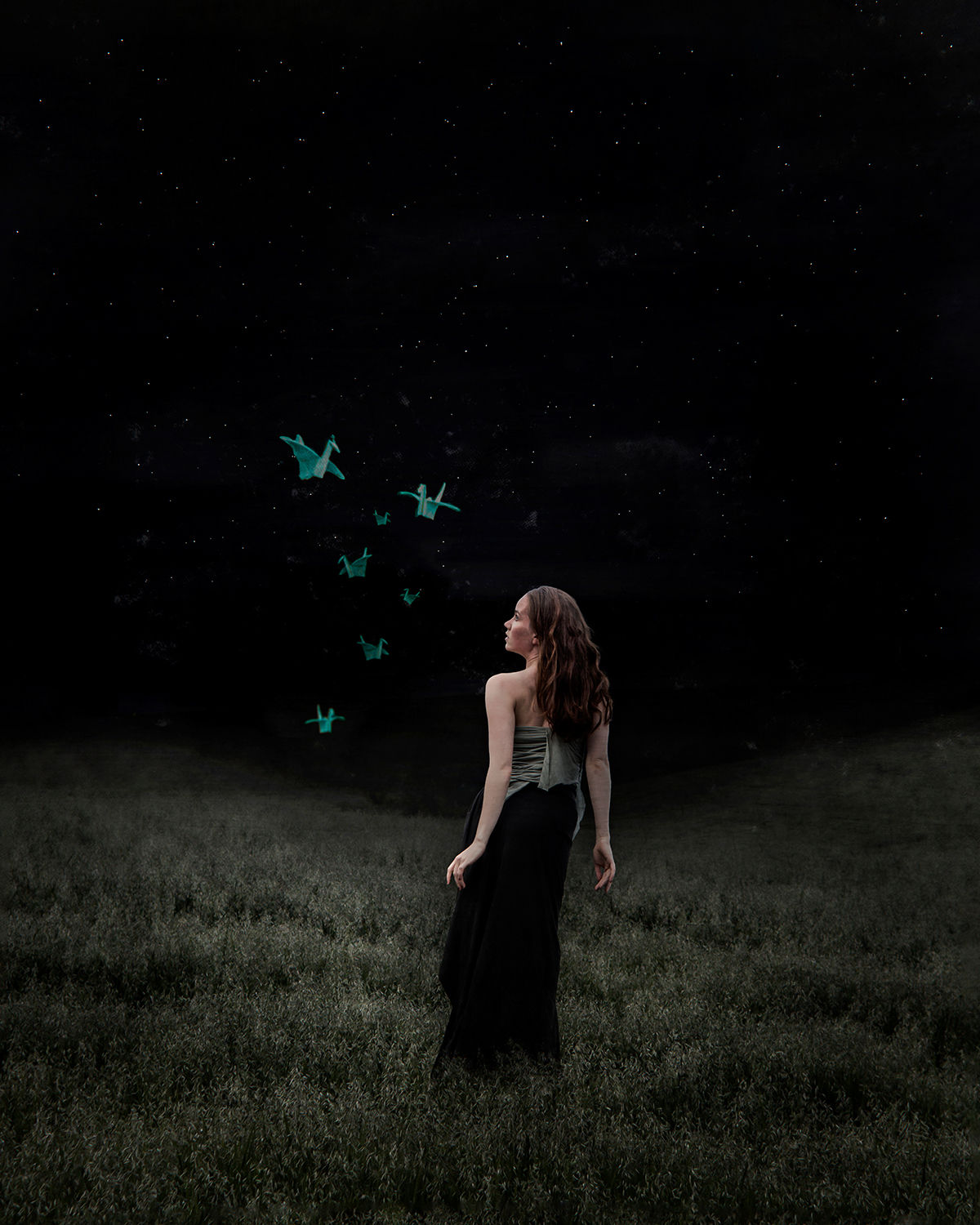 Paperbirds fly at night