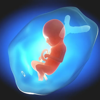 BLOOD MONEY: The Business of Abortion (Documentary)