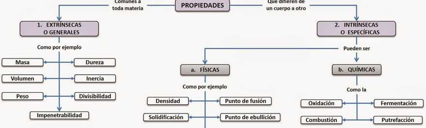 LA MATERIA.jpeg