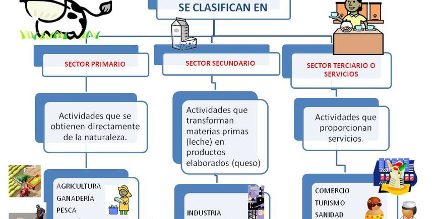 sectores económicos.jpeg