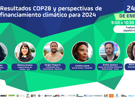 Resultados COP28 y perspectivas de financiamiento climático para 2024 