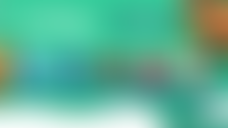 Financiamiento para la biodiversidad camino a la COP16:brechas y necesidades de financiamiento