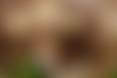 ¿El Cambio Climático nos obliga a replantear el sistema alimentario?