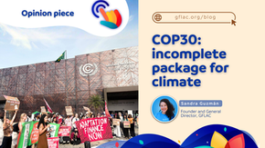 COP30: incomplete package for climate