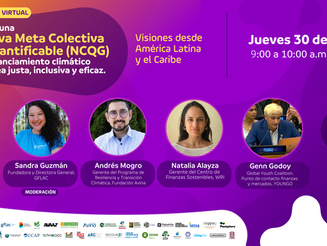 Hacia una Nueva Meta Colectiva y Cuantificable (NCQG) de financiamiento climático que sea justa, inclusiva y eficaz. Visiones desde América Latina y el Caribe