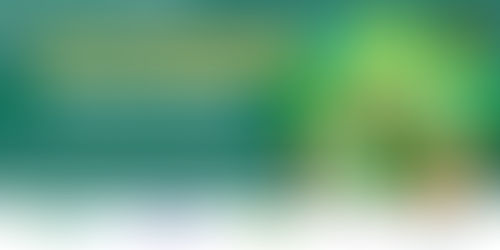 Nota técnica | Taller presencial "Presupuesto para la acción climática"