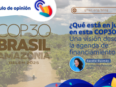 ¿Qué está en juego en esta COP30? Una visión desde la agenda de financiamiento.