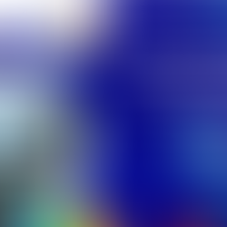 El papel del sector privado en la acción climática: entre la implementación y el desafío de la trazabilidad