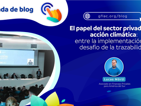 El papel del sector privado en la acción climática: entre la implementación y el desafío de la trazabilidad