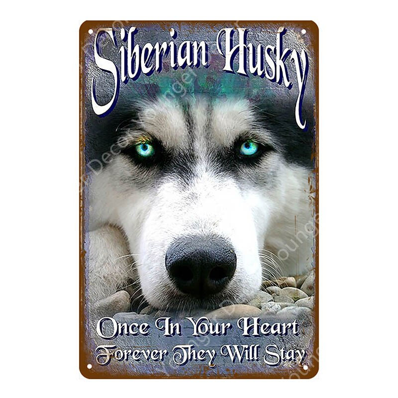 Thumbnail: Caution Pet Tin Vintage Pub Wall Plaques YI-178