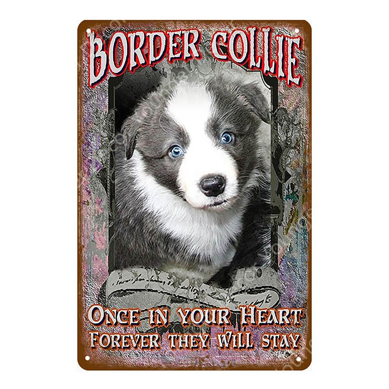 Thumbnail: Caution Pet Tin Vintage Pub Wall Plaques YI-178