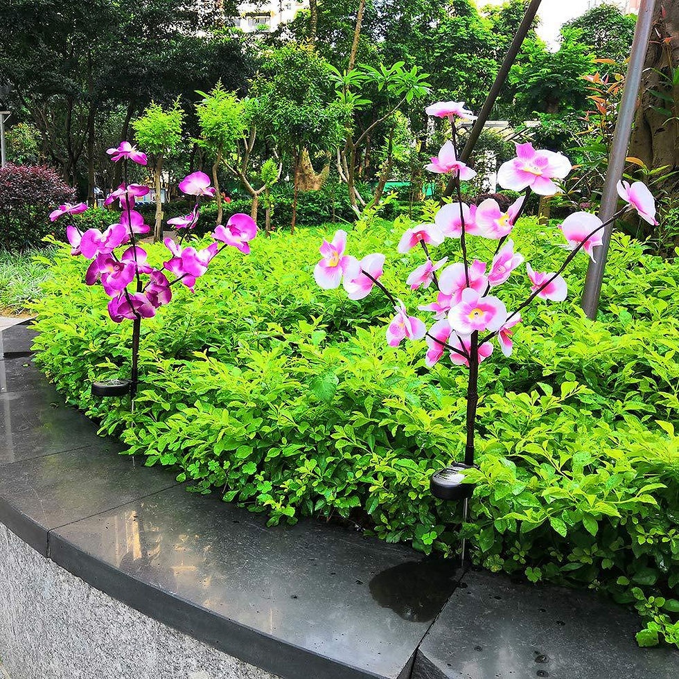 Thumbnail: 2 Pack Phalaenopsis Flower Solar Lighting for The Garden 