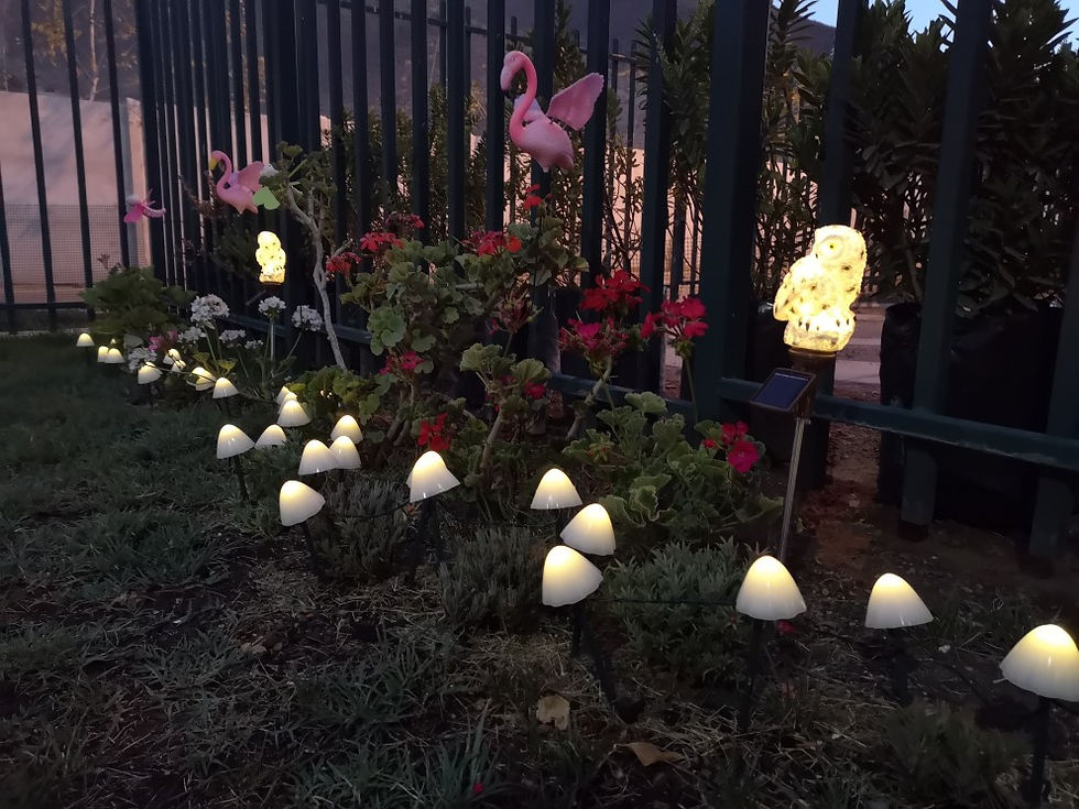 Thumbnail: Outdoor Waterproof Mushroom Shaped Solar Landscape Lights