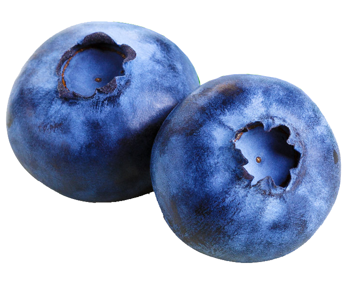 Blueberry