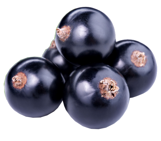 Blackcurrant