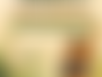 Personalize Your Fitness Journey for Any Size and Starting Point