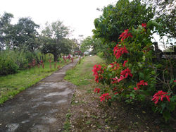IMG_20191109_150844