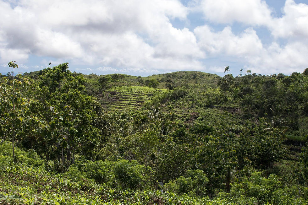 Nusa Penida Bali