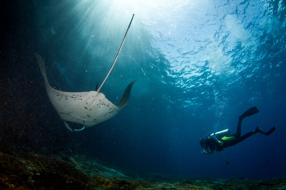 Why choose Nusa Penida for your Scuba Diving Holiday?