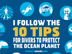 10 tips for divers to protect the oceans