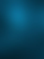 Importance of WordPress theme for your business website