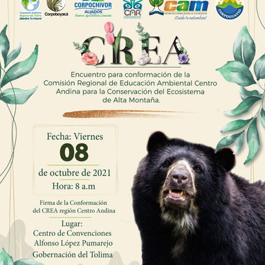 crea Alta montaña.jpg