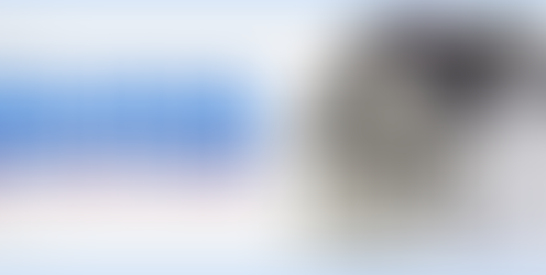 Reverse Mortgage/Home Equity Retirement Plans