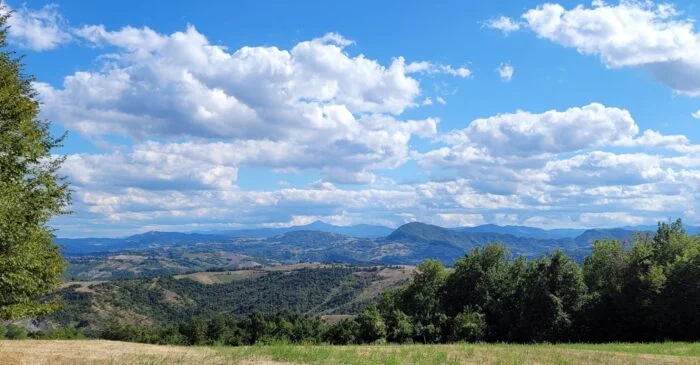 colline reggiane