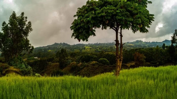 Progetto Etiopia