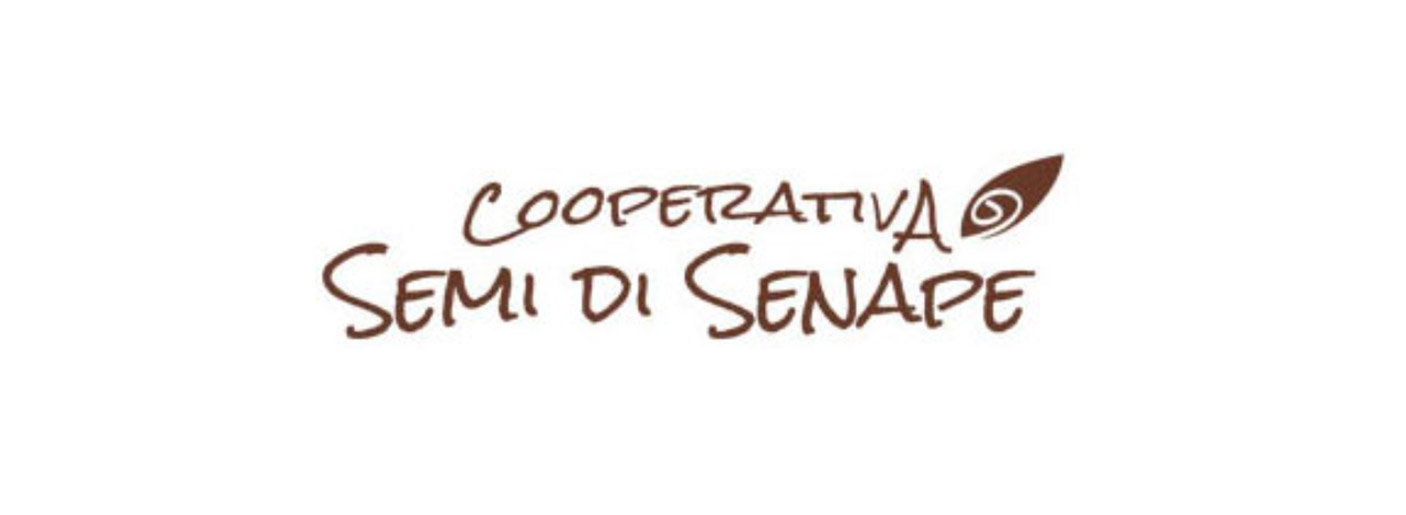 Orecchini Pendenti Con Semi Di Senape Veri – Fede Cristiana, In Acciaio Inox, Donne E Ragazze
