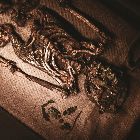 highlight_CHICLAYO_SENOR DE SPAN_PERURESPONSABILE_edited.webp