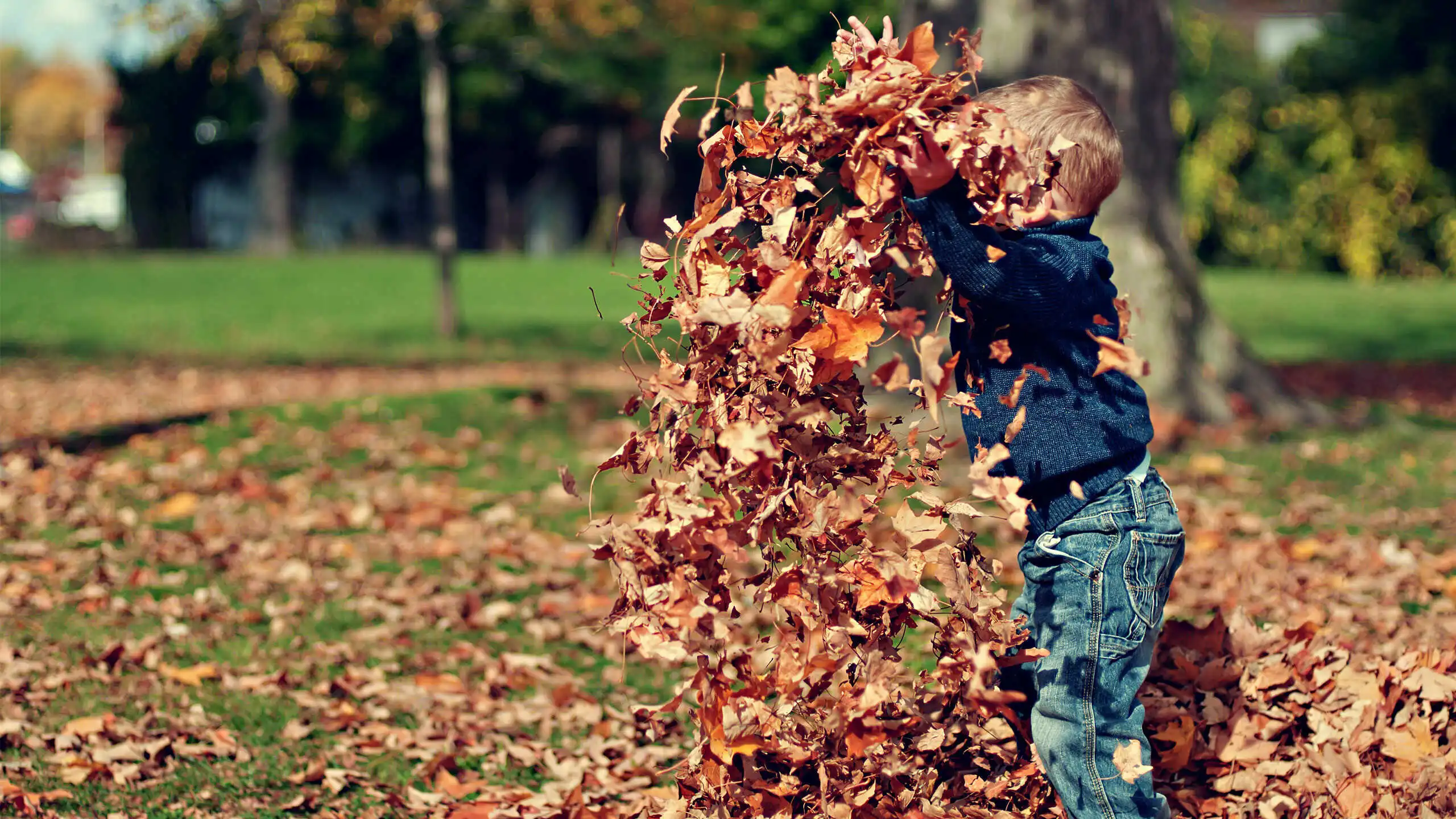 child_2_optimized.webp