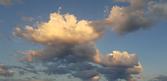 20200624_213233.jpg