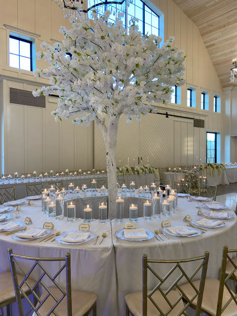 Asia & Ahmad's Wedding, 2024
