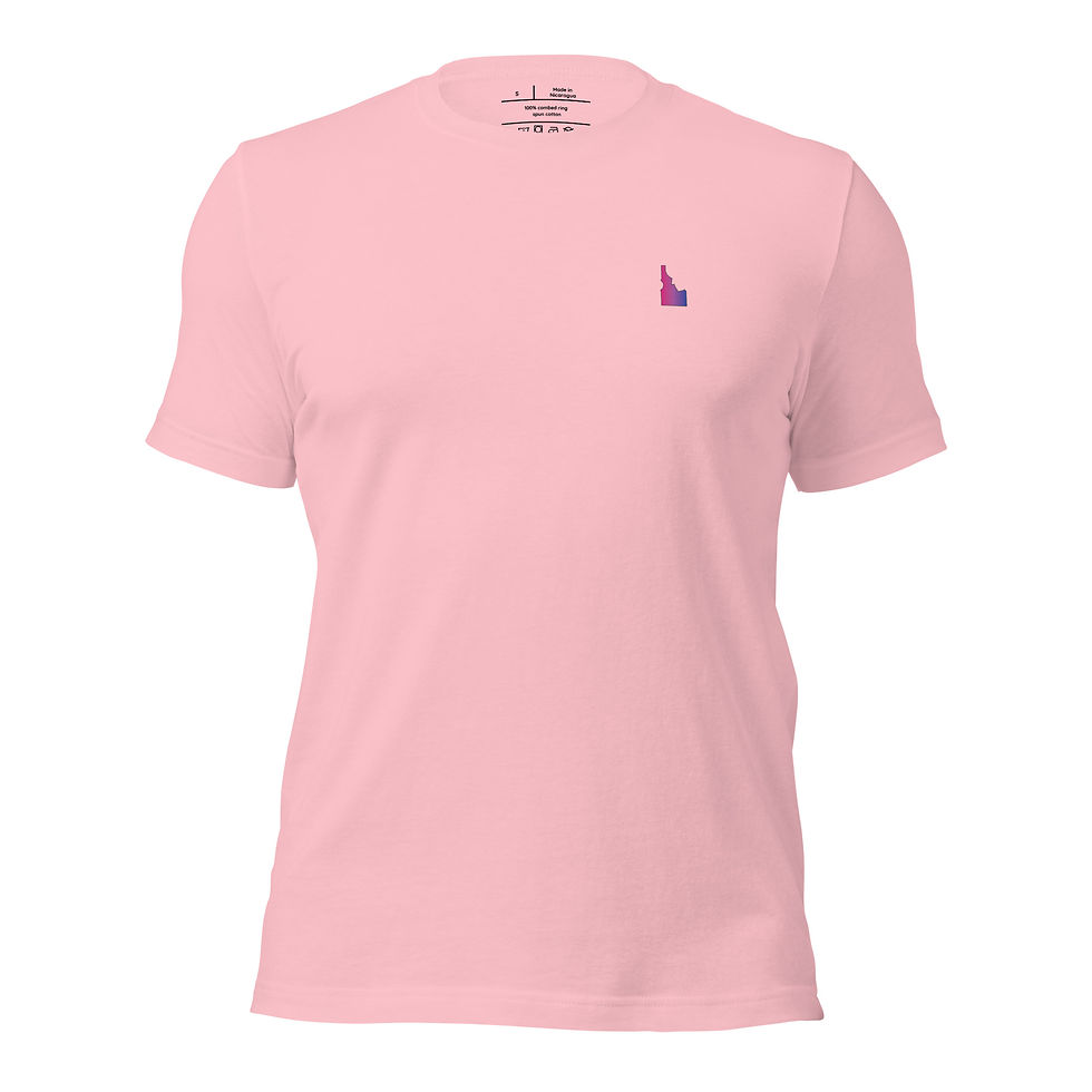 Thumbnail: Bisexual Colored Idaho T-Shirt - Neutral Fit