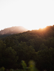 Lever du soleil sur le vallon du Clos dans les Dentelles