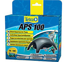 APS 100