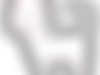 キャットウォークのある新築住宅