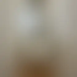 トイレ手洗いのパターン