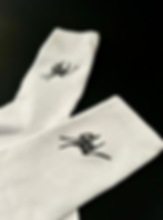Gladsocks