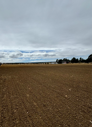 Western dirt horse and rodeo arena installation