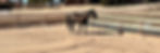 72833749273__31722B76-2B47-41B5-B010-A83AA522BE28_edited_edited.jpg
