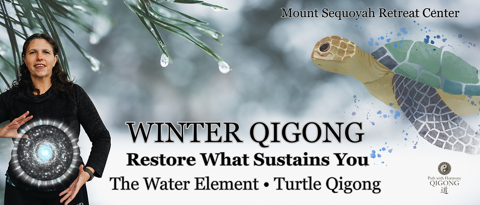 Winter turtle Qigong.png