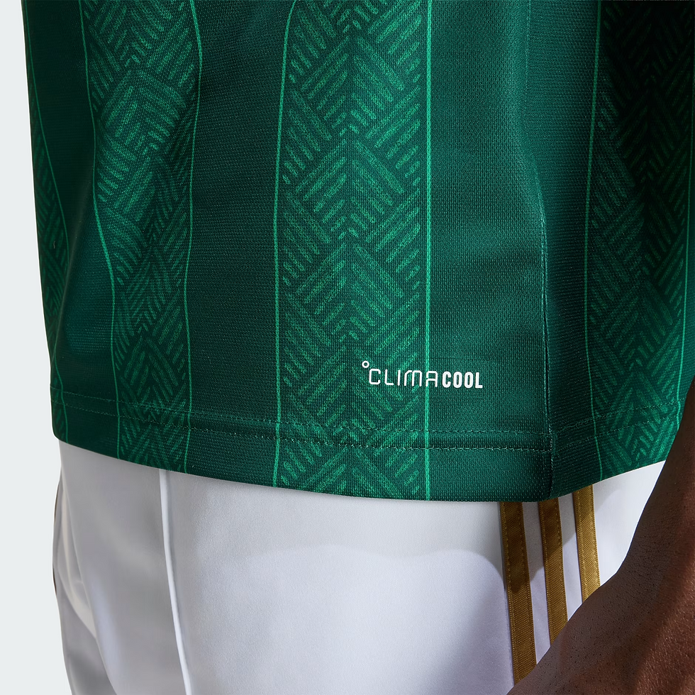 Thumbnail: South Africa 26 Away Jersey