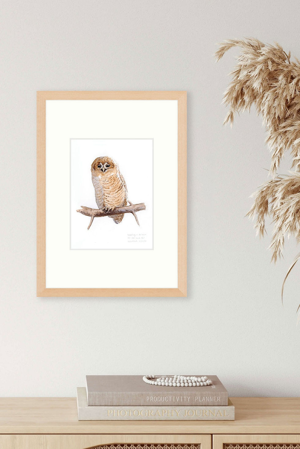 Thumbnail: Tawny Owl Chick