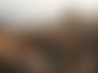 A força maior que nos conduz