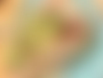 Tout Café v Petržalke – miesto, kde sa jedlo mení na zážitok