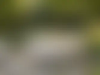 Sunbrella: Prečo patrí medzi najlepšie látky na záhradný nábytok?