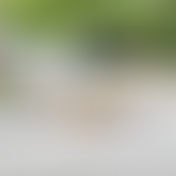 Prémiový exteriérový nábytok: Výber a starostlivosť